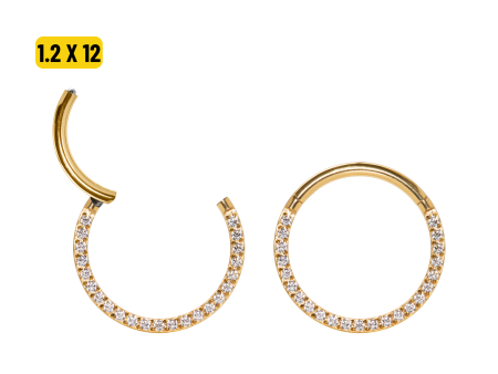 SEGMENTO CLICKER TITÂNIO PVD FRONTAL CRAVEJADA – 1.2 X 12MM