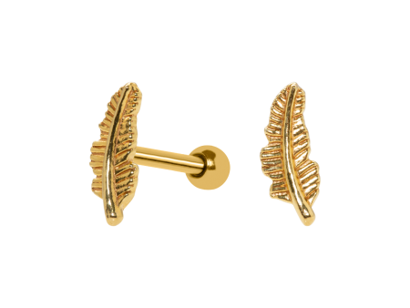 MICRO-RETO PENA – C30 (BANHADO A OURO)