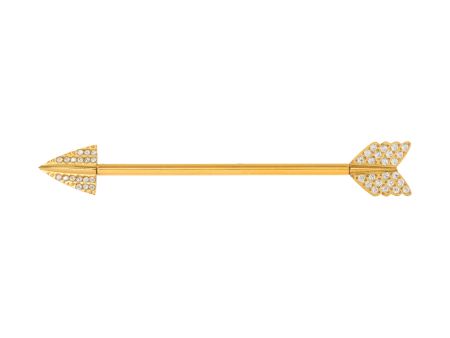TRANSVERSAL TITANIO R/I PVD GOLD FLECHA CRAVEJADA – 1.6 X 34MM