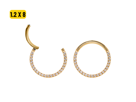 SEGMENTO CLICKER TITÂNIO PVD FRONTAL CRAVEJADA – 1.2 X 8MM