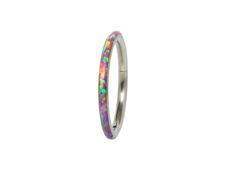 SEGMENTO CLICKER TITÂNIO OPALA 1.2 X 10MM – LILÁS