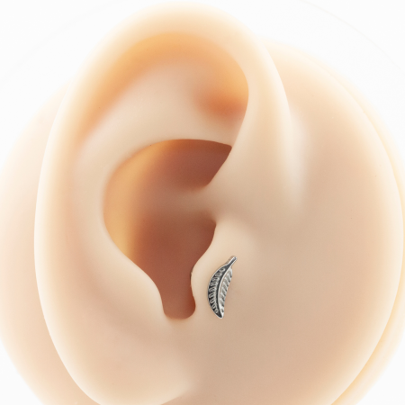 LABRET TITÂNIO R/I PENA
