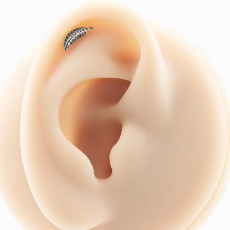 LABRET TITÂNIO R/I PENA